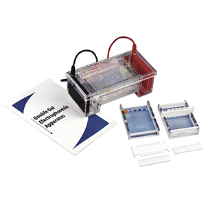 Double Gel Electrophoresis Apparatus